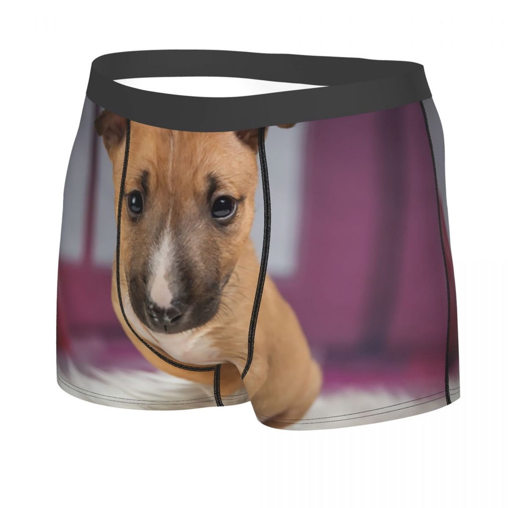 Bull terrier động vật thú cưng cún con boxer quần đùi nam 3d in nam breathbale đồ lót quần lót quần lót