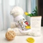 Áo Thun Cotton HìNh ChuộT Mickey / Minnie Cho Thú Cưng