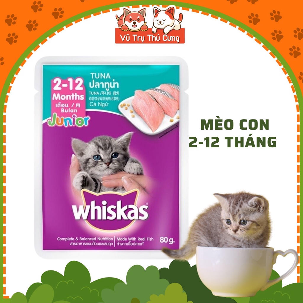 Combo 12 gói Pate Whiskas cho Mèo con Vị Cá ngừ 80g
