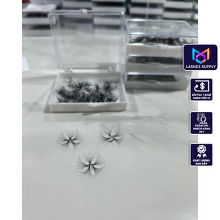 Mi fan 14D LASHES SUPPLY độ cong C -CC - D, độ dày 0.05 (1 hộp 500 fan) mi volume 14d, (keo nối uốn mi, dụng cụ nối mi)