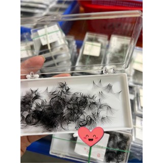 Mi fan 7D LASHES SUPPLY độ cong C -CC - D, độ dày 0.05 (1 hộp 500 fan) mi volume 7d, (keo nối mi, uốn mi, dụng cụ nối mi