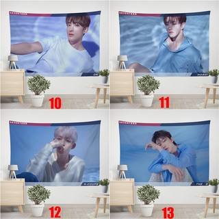 Tấm thảm SEVENTEEN S.COUPS, JEONGHAN, JOSHUA, HOSHI, WONWOO, MINGYU, THE8, SEUNGKWAN, VERNON, DINO, DK, WOZI, JUN Polyester Tấm thảm treo tường Phòng ngủ Tấm thảm treo tường Trang trí nhà cửa