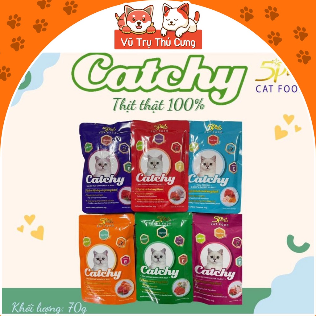 Pate Catchy 5Plus cho mèo dạng gói 70g