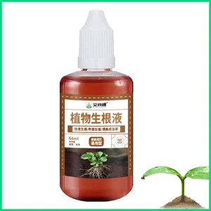 Giải Pháp Giải Pháp Phát Triển Rễ Cây Tăng Tốc Độ Cho Cây Trồng Chuyên Nghiệp Vàjiwvn