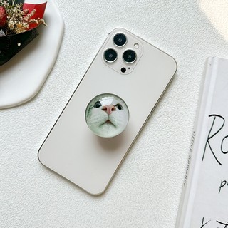 Giá Đỡ Điện Thoại Hình Quả Cầu Pha Lê