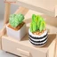 1 / 4 Cái 1: 12 Nhà búp bê Cây thu nhỏ Chậu cây xương rồng Mô hình phong cảnh vi mô Trang trí sân vườn Phụ kiện nhà búp bê