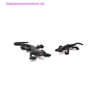 Set 2 Chú Thằn Lằn Giả Bằng Nhựa Vui Nhộn
Đồ Chơi Cuộc Sống Vui Nhộn Bằng Nhựa
Bọ Cánh Cứng Vui Nhộn Độc Đáo