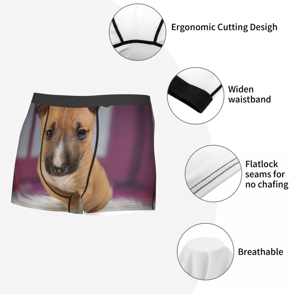 Bull terrier động vật thú cưng cún con boxer quần đùi nam 3d in nam breathbale đồ lót quần lót quần lót