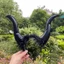 Woke Animal Cool Horn Headband Phim hoạt hình Cool Devil Cosplay Đạo cụ ảnh đáng yêu