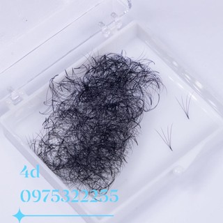 Mi fan 4D LASHES SUPPLY độ cong C -CC - D, độ dày 0.07 (1 hộp 500 fan) mi volume 4d, (keo nối mi, uốn mi, dụng cụ nối mi