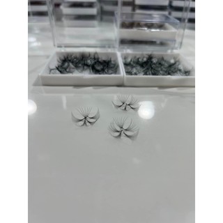 Mi fan 9D LASHES SUPPLY độ cong C, CC, D, độ dày 0.05, 1 hộp 500 fan, mi volume 9D