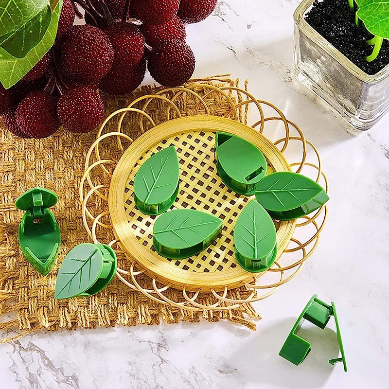 Kẹp Cố Định Dây Leo / Cây Cảnh Treo Tường Vô Hình