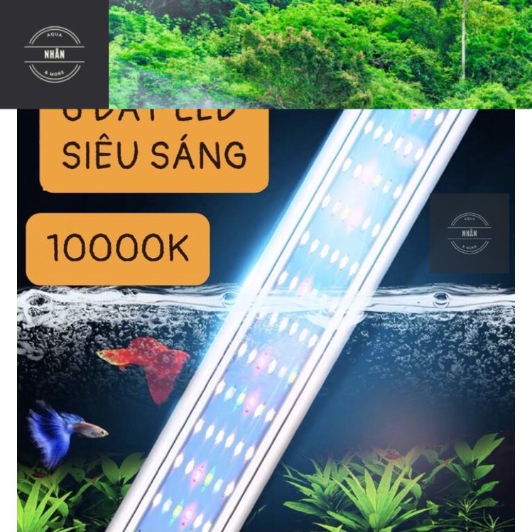 Đèn Led Thuỷ Sinh Ánh Sáng 10000K 6 Hàng Bóng Siêu Sáng-Siêu Rẻ và Tiết ...