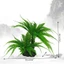 Mya Nhỏ Nhựa Cá Mô Phỏng Thực Vật Cảnh Quan Mô Phỏng Cây Nước Thời Trang Cây Nước Bể Cá Trang Trí