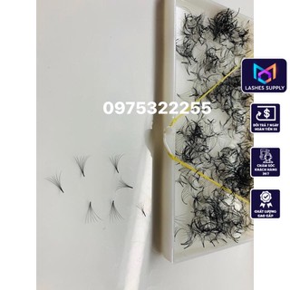 Mi fan 6D LASHES SUPPLY độ cong C -CC - D, độ dày 0.07 (1 hộp 1000 fan) mi volume 6D