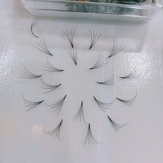 Mi fan 4D LASHES SUPPLY độ cong C -CC - D, độ dày 0.07 (1 hộp 1000 fan) mi volume 3d, (keo nối uốn mi, dụng cụ nối mi)