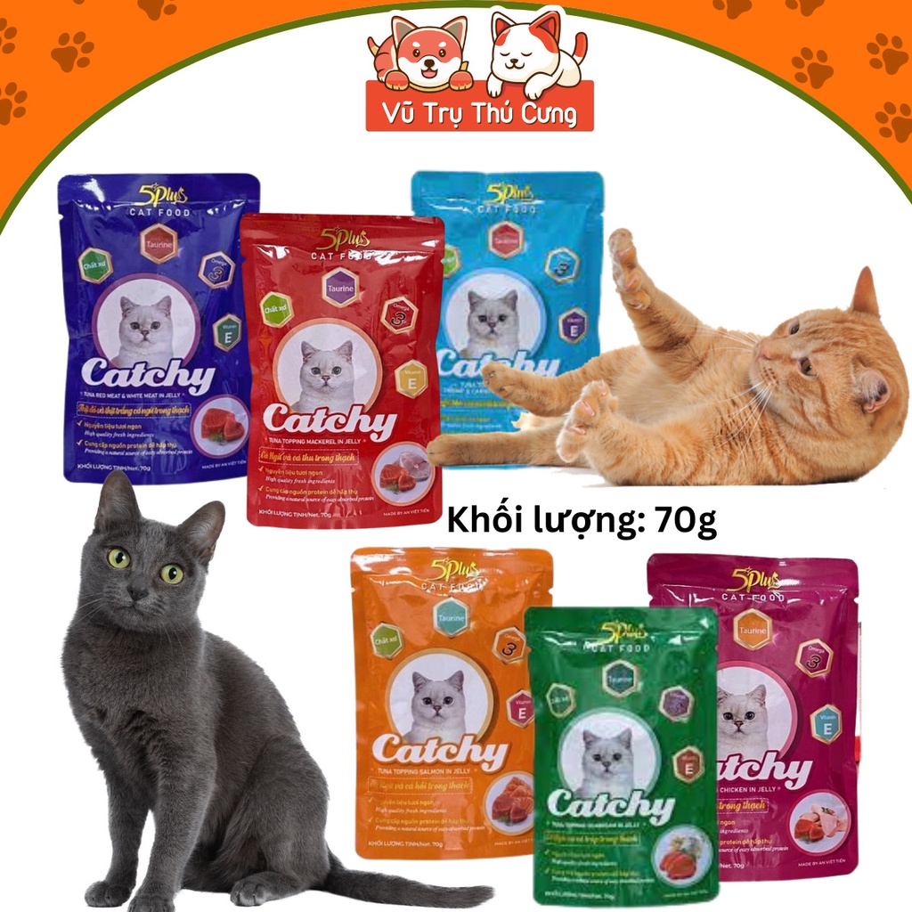 Pate Catchy 5Plus cho mèo dạng gói 70g