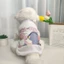 Áo Tank Top Cotton In HìNh Tom & Jerry Cho Thú Cưng