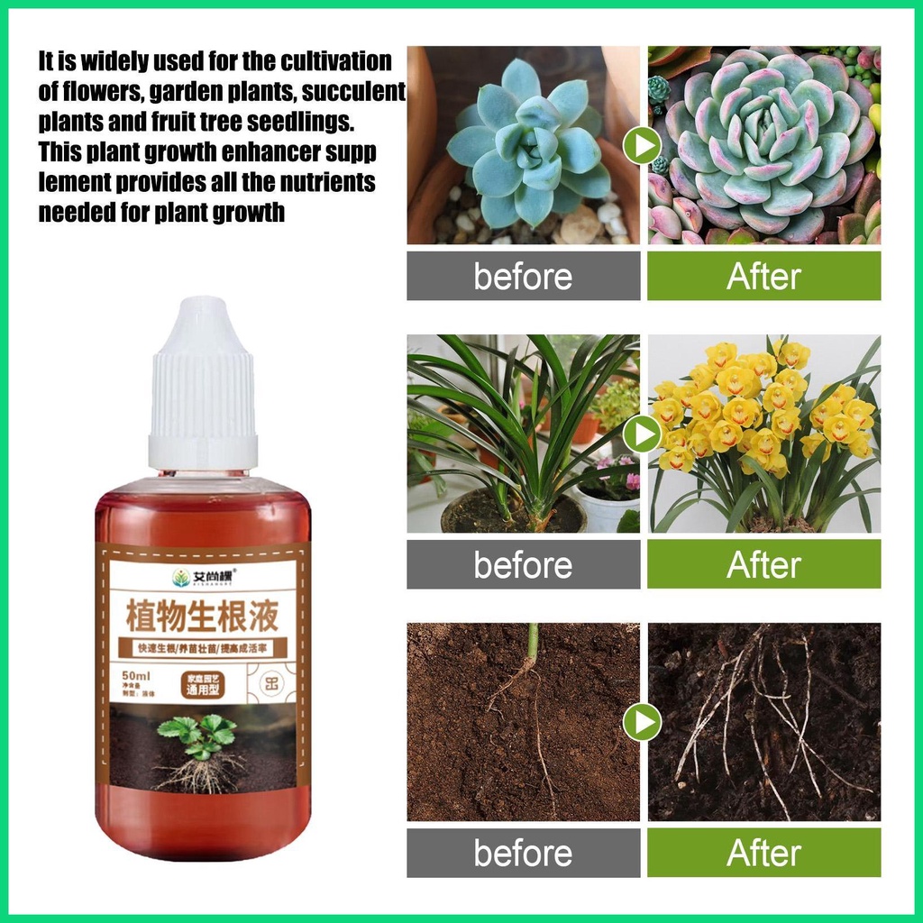 Giải Pháp Giải Pháp Phát Triển Rễ Cây Tăng Tốc Độ Cho Cây Trồng Chuyên Nghiệp Vàjiwvn