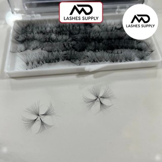 Mi fan 16D MD LASHES độ cong C - CC - D, độ dày 0.5 - 1 hộp 1000 fan - dụng cụ nối mi