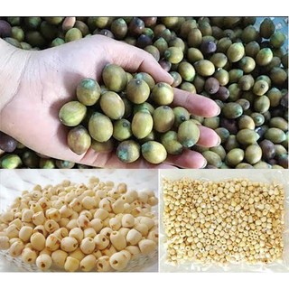 Hạt sen khô Huế loại 1 Thiên Thảo Organic