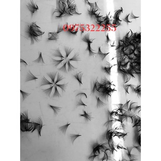 Mi fan 10D LASHES SUPPLY độ cong C -CC - D, độ dày 0.07 (1 hộp 1000 fan) mi volume 10d,(keo nối uốn mi, dụng cụ nối mi)