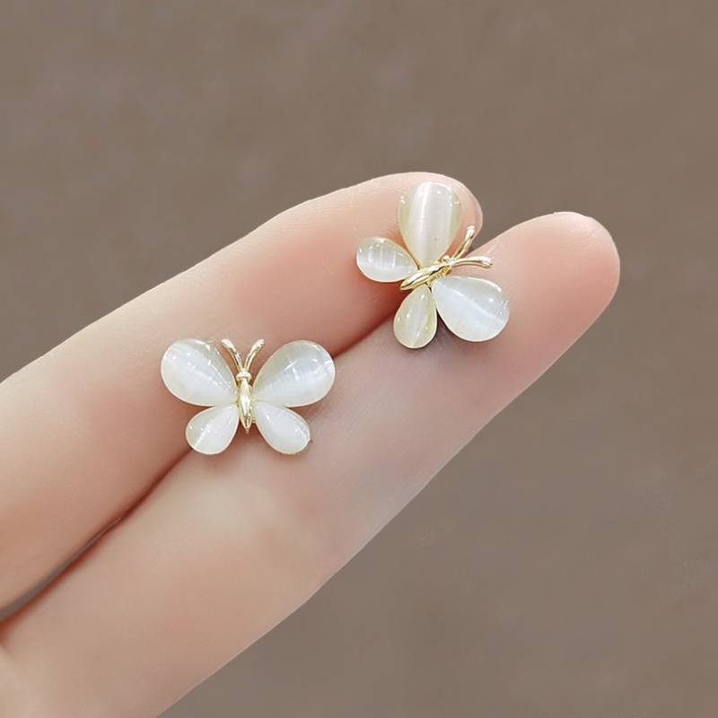 Ghim Cài Áo Hình Vỏ Sò / Bông Hoa Mini Xinh Xắn Dành Cho Nữ