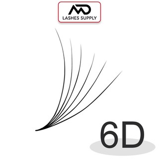 Mi fan 6D LASHES SUPPLY độ cong C - CC - D, độ dày 0.10 1 hộp 1000 fan - dụng cụ nối mi