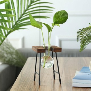 Bình hoa LOVIVER thủy tinh trong suốt có đế gỗ trang trí xinh xắn