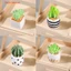 1 / 4 Cái 1: 12 Nhà búp bê Cây thu nhỏ Chậu cây xương rồng Mô hình phong cảnh vi mô Trang trí sân vườn Phụ kiện nhà búp bê
