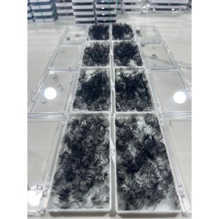 Mi fan 14D LASHES SUPPLY độ cong C -CC - D, độ dày 0.05 (1 hộp 500 fan) mi volume 14d, (keo nối uốn mi, dụng cụ nối mi)