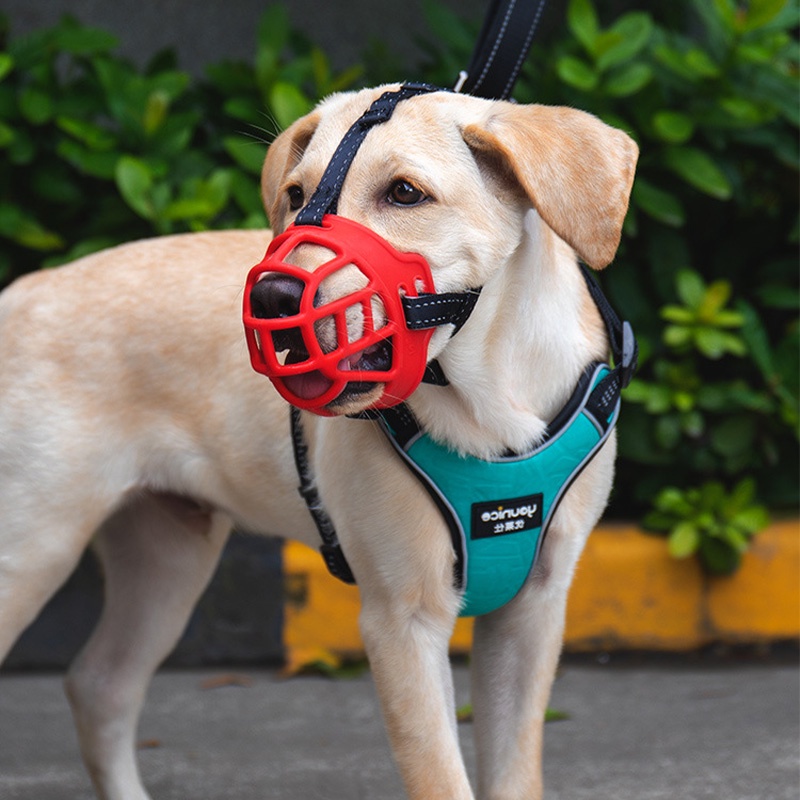 HamshMoc Giỏ Thoáng Khí Chó Mõm Có Thể Điều Chỉnh Miệng Bao Bền Chống Liếm Chống sủa Chống Cắn Thoải Mái