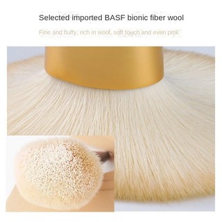 Bộ Cọ Trang Điểm AMORTALS 12 & 5 Cọ Lông Mềm Che Phủ Hoàn Hảo Và Highlight