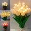 SAIA - Bộ 10 Đèn Ngủ Kính Quyển Để Bàn