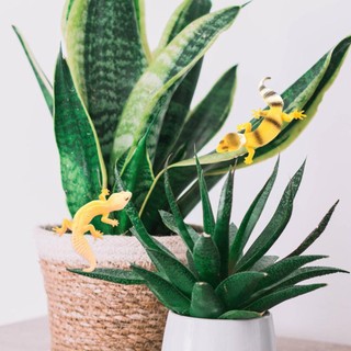 SENRTY Hình Đồ Chơi Động Vật, Gecko Prank Đạo Cụ Trò Chơi Gia Đình Mô Phỏng Nhân Vật Thằn Lằn, Đồ Chơi Nhận Thức Mới Lạ Động Vật Các Bức Tượng Nhỏ Mô Hình Hành Động Quà Tặng Trẻ Em