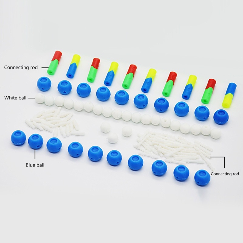 Mô hình cấu trúc xoắn đôi Mya DNA Mô hình DNA Máy trợ giảng khoa học sinh học