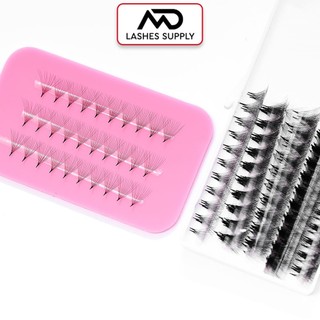 Mi fan LINE 12D độ cong C - CC - D, độ dày 0.5 - 1 hộp 1000 fan - dụng cụ nối mi