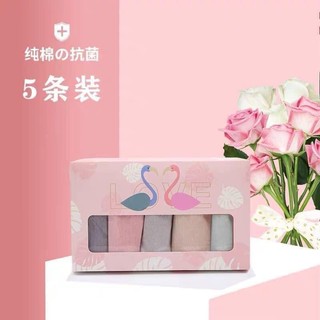 Hộp 5 Quần Lót Cotton Hồng Hạc 4 Chiều Co Giãn Luyoo11.vn