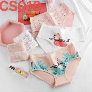 Set 5 Quần Lót Cotton Nâng Mông Thông Hơi In Hoạ Tiết Kute Đáng Yêu - Size trên 50kg
