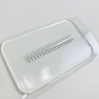 Mi fan line LASHES SUPPLY 4D cong C - CC - D, độ dày 0.07 (1 hộp 1000 fan)
