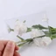 Kính lúp DELMER Hình dạng thẻ tín dụng làm bằng nhựa Kính lúp di động