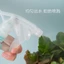 Bình xịt phun sương áp xuất cao Dáng Bầu đa chức năng tiện dụng 500ml