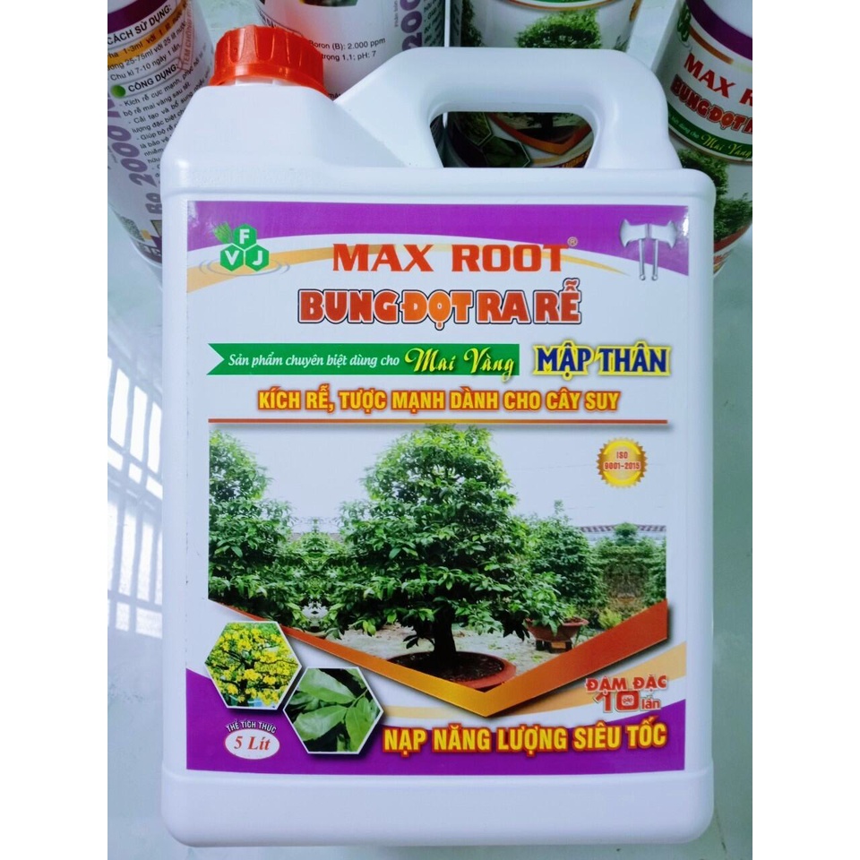Max root - Bung đọt ra rễ mai vàng Can 5 Lít | Shopee Việt Nam