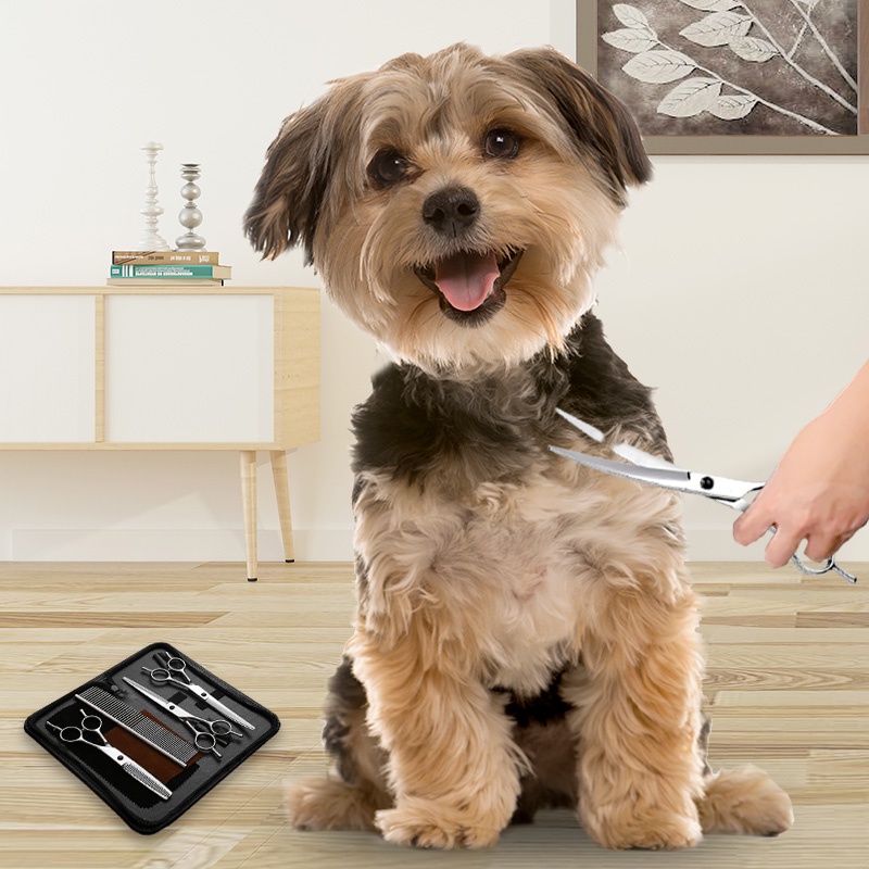 HamshMoc Bộ chải lông thú cưng không gỉ Lược chải lông thú cưng sắc nét và bền bỉ Bộ chải lông thú cưng cần thiết với đầu tròn an toàn Đồ cần thiết cho thú cưng cong