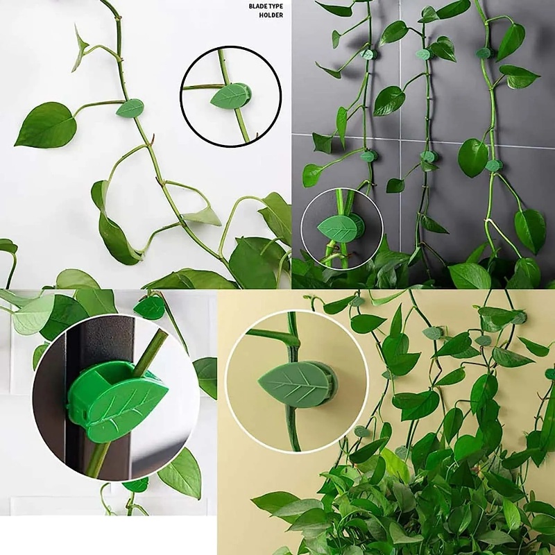 Kẹp Cố Định Dây Leo / Cây Cảnh Treo Tường Vô Hình