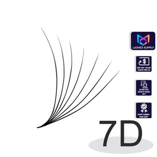 Mi fan line LASHES SUPPLY 7D cong C - CC - D, độ dày 0.07 (1 hộp 1000 fan)