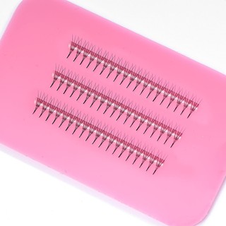 Mi fan line LASHES SUPPLY 4D cong C - CC - D, độ dày 0.07 (1 hộp 1000 fan)