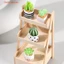1 / 4 Cái 1: 12 Nhà búp bê Cây thu nhỏ Chậu cây xương rồng Mô hình phong cảnh vi mô Trang trí sân vườn Phụ kiện nhà búp bê