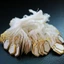DWEL 100 Chiếc Giá Trang Sức Nhãn Trống Bán Lẻ Tiếp Liệu Thẻ Giấy Trang Sức Hangtags