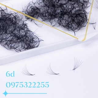 Mi fan 6D LASHES SUPPLY độ cong C -CC - D, độ dày 0.07 (1 hộp 500 fan) mi volume 6d, dụng cụ nối mi